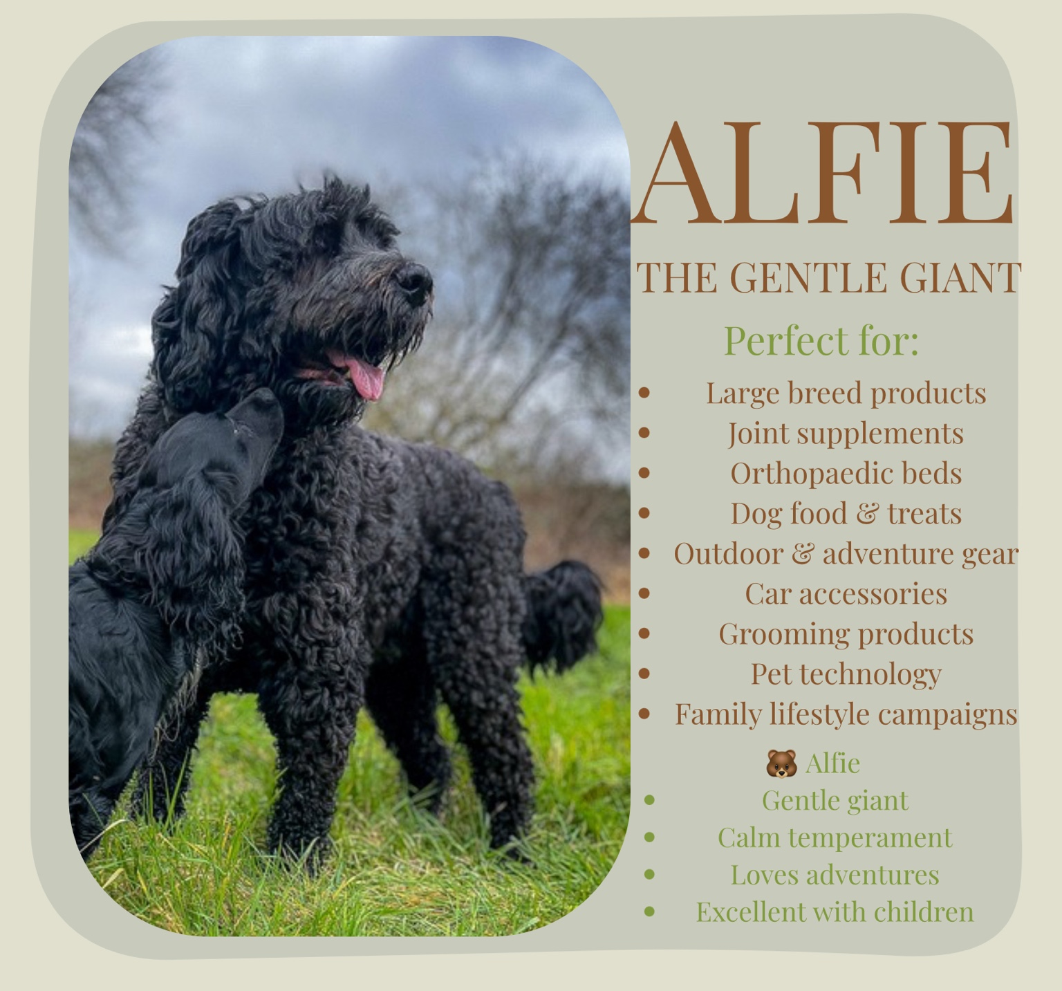 Alfie profile