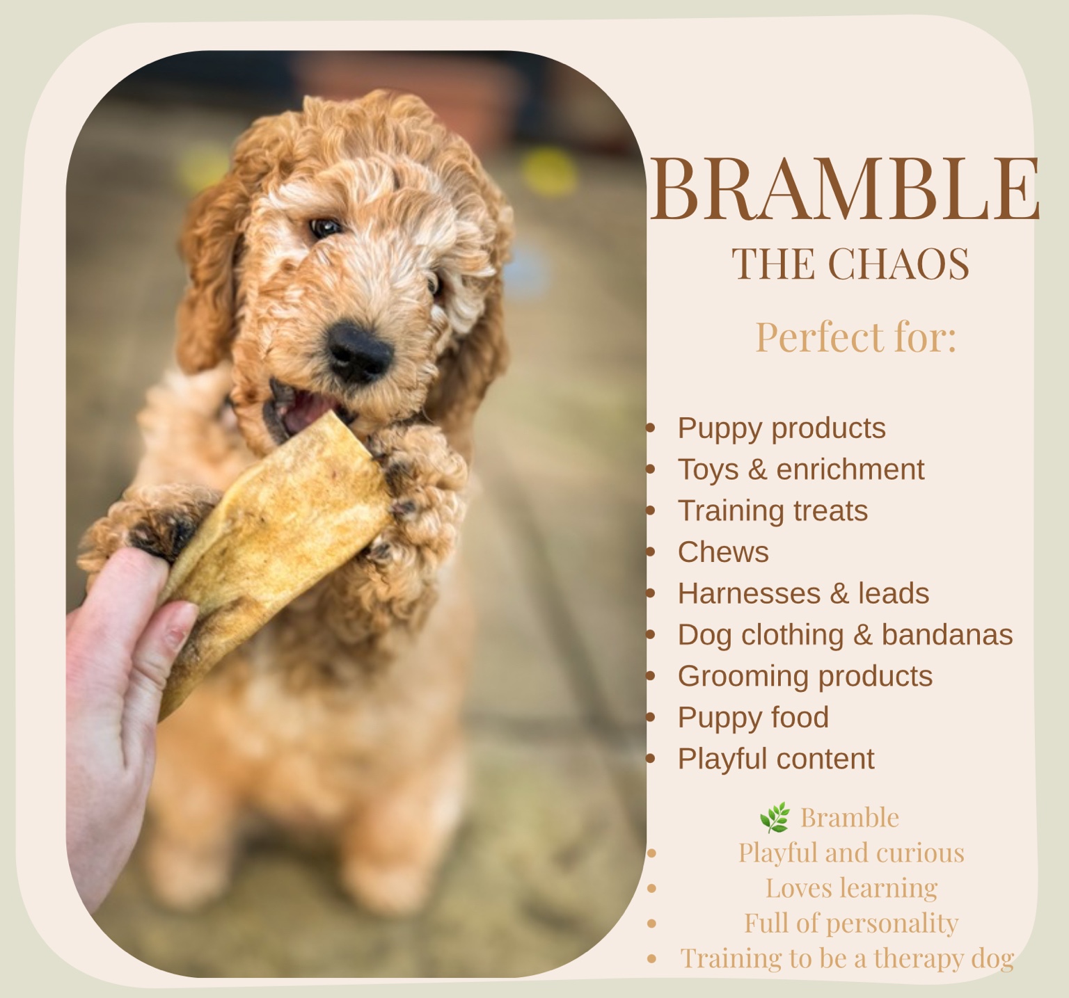 Bramble profile