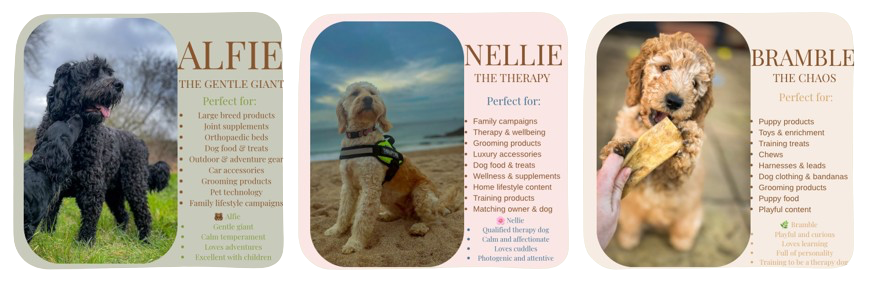 Alfie, Nellie and Bramble profile cards