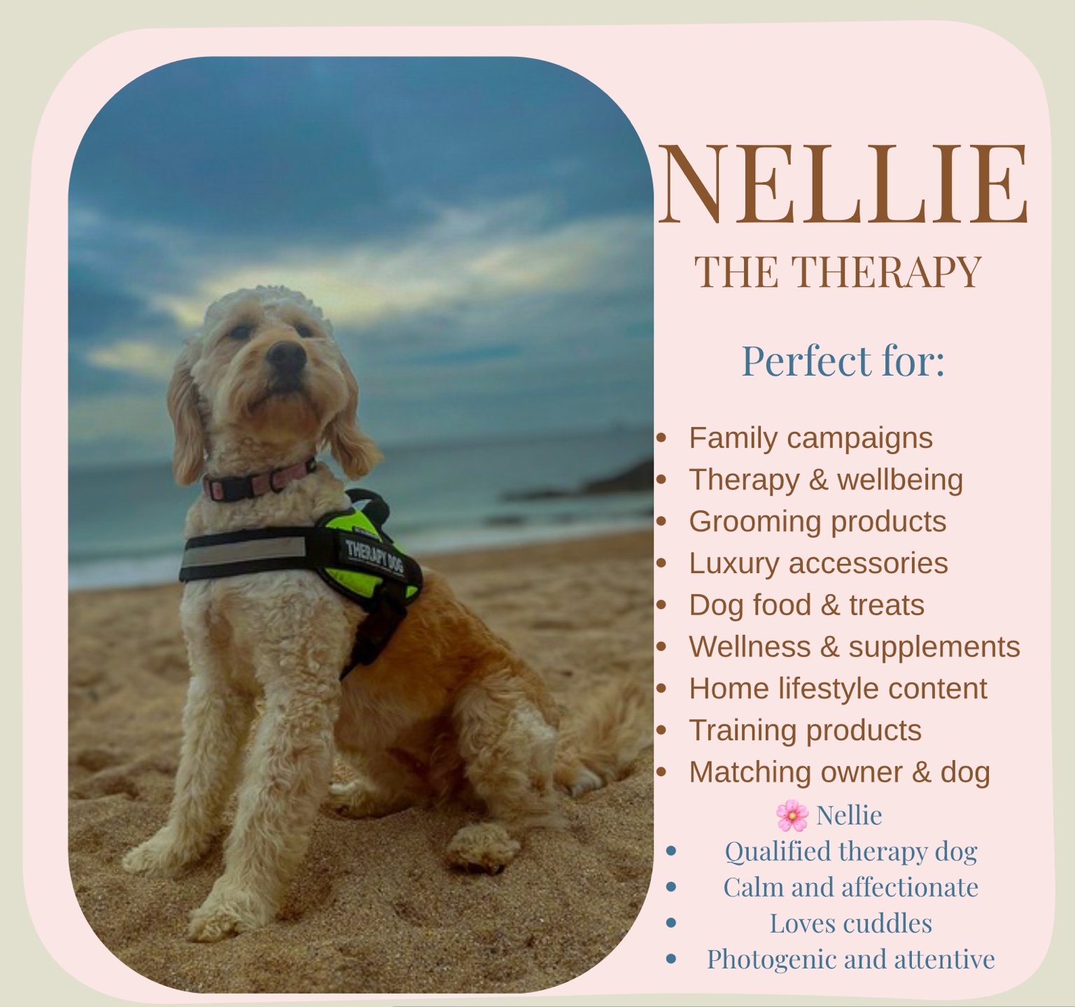 Nellie profile
